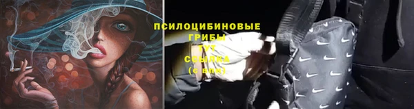a pvp Абинск