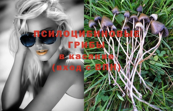 a pvp Абинск