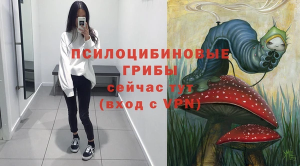 прущий лед Абаза
