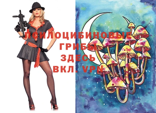 a pvp Абинск