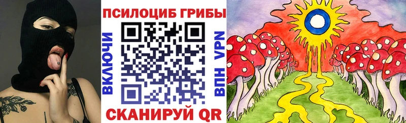 MEGA вход  Стерлитамак  Галлюциногенные грибы Psilocybine cubensis 